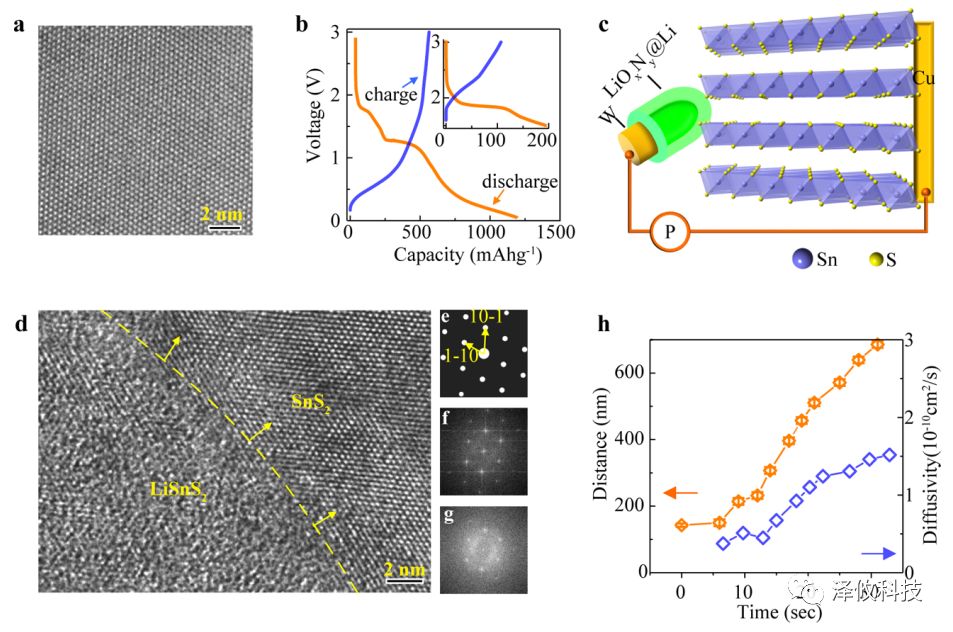原位樣品桿應用展示圖
