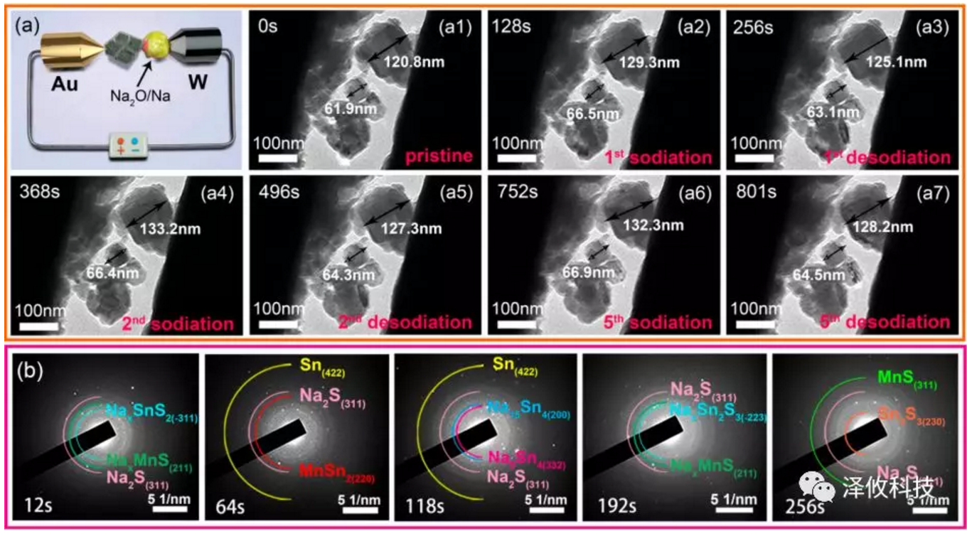 原位電學(xué)樣品桿觀察