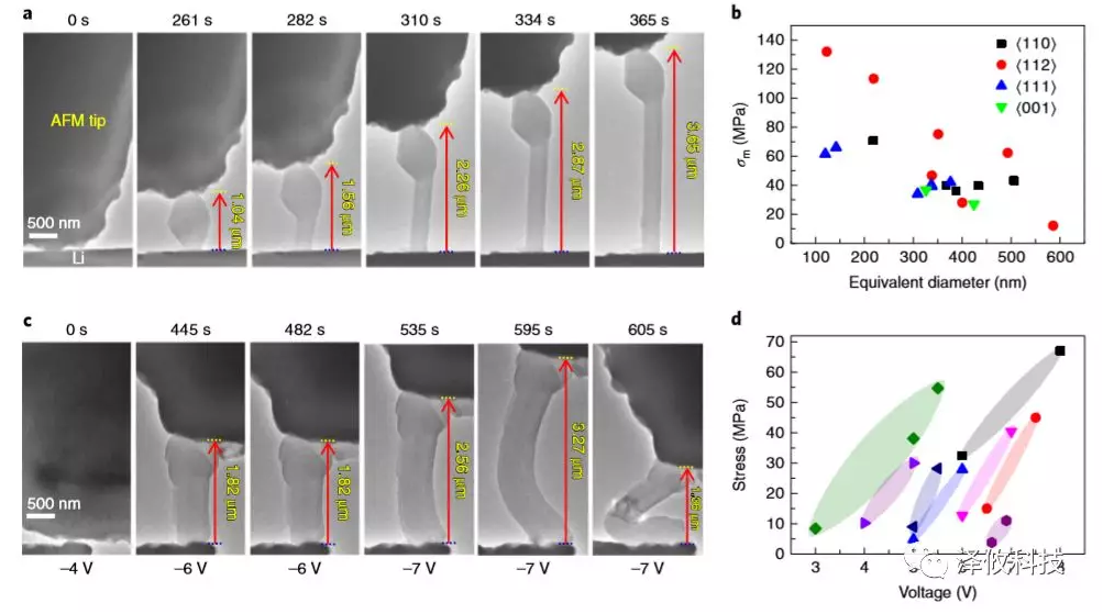鋰晶須生長的原位AFM-ETEM成像以及在施加電壓下同時(shí)測(cè)量鋰晶須的應(yīng)力變化。