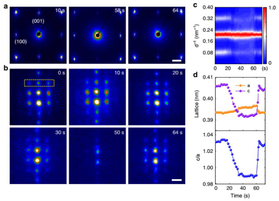 Nature Commun.:物理所揭示原子分辨下的鐵電渦旋疇的原位力學轉變過程(圖5) 原位TEM研究實驗方法圖5:渦旋疇力學轉變過程中的結構變化