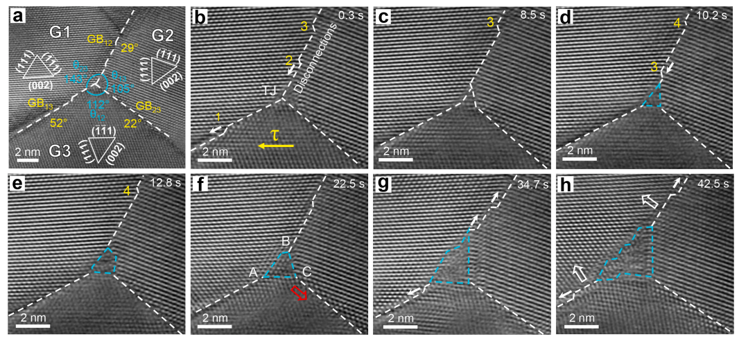 三叉晶界動(dòng)態(tài)重構(gòu)的原位觀測(cè)