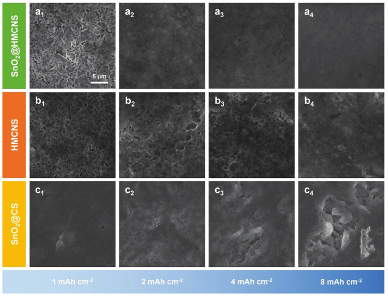 澤攸科技原位TEM