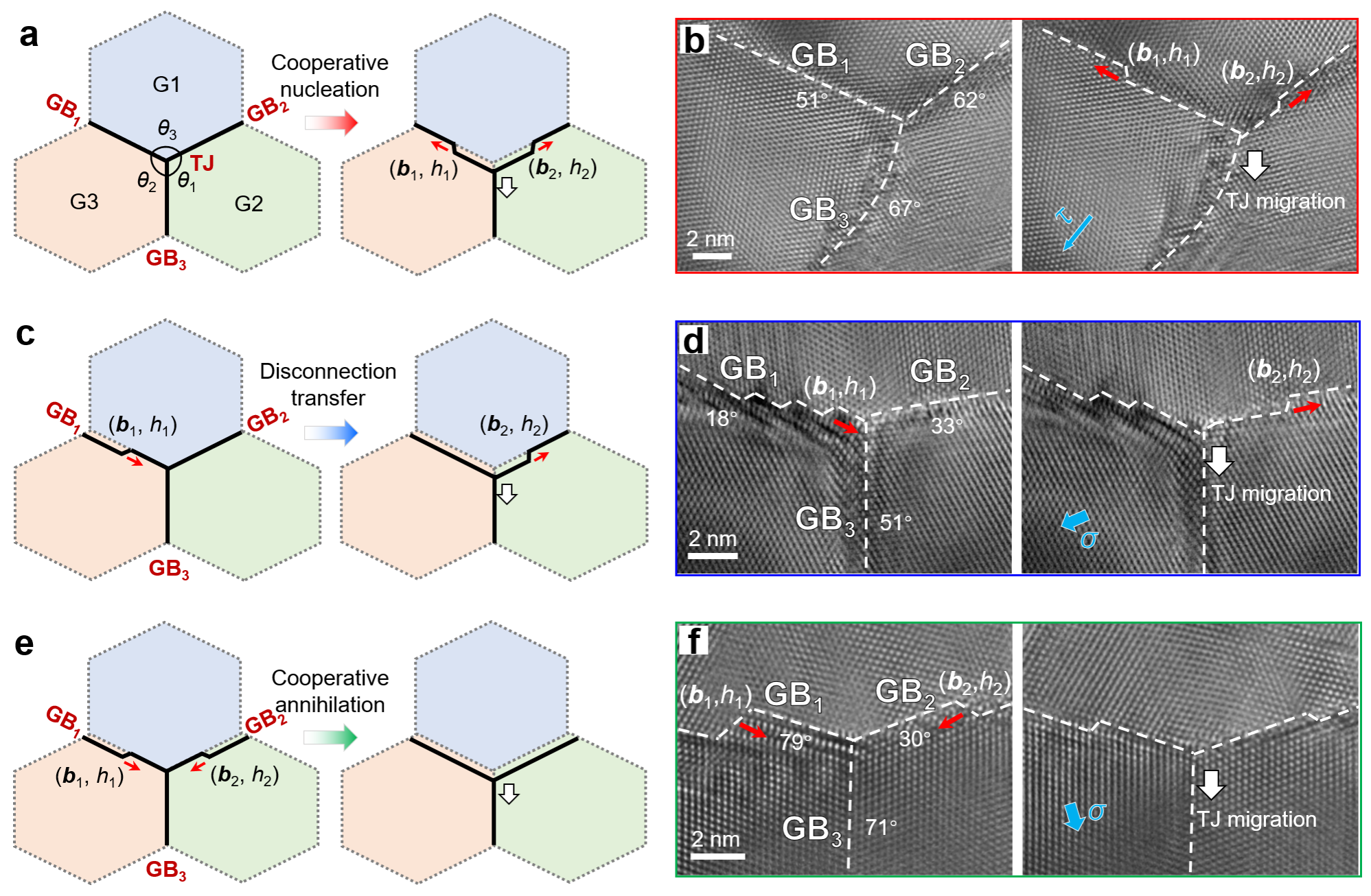 通過鄰近晶界的失配位錯動力學實現穩態TJ遷移