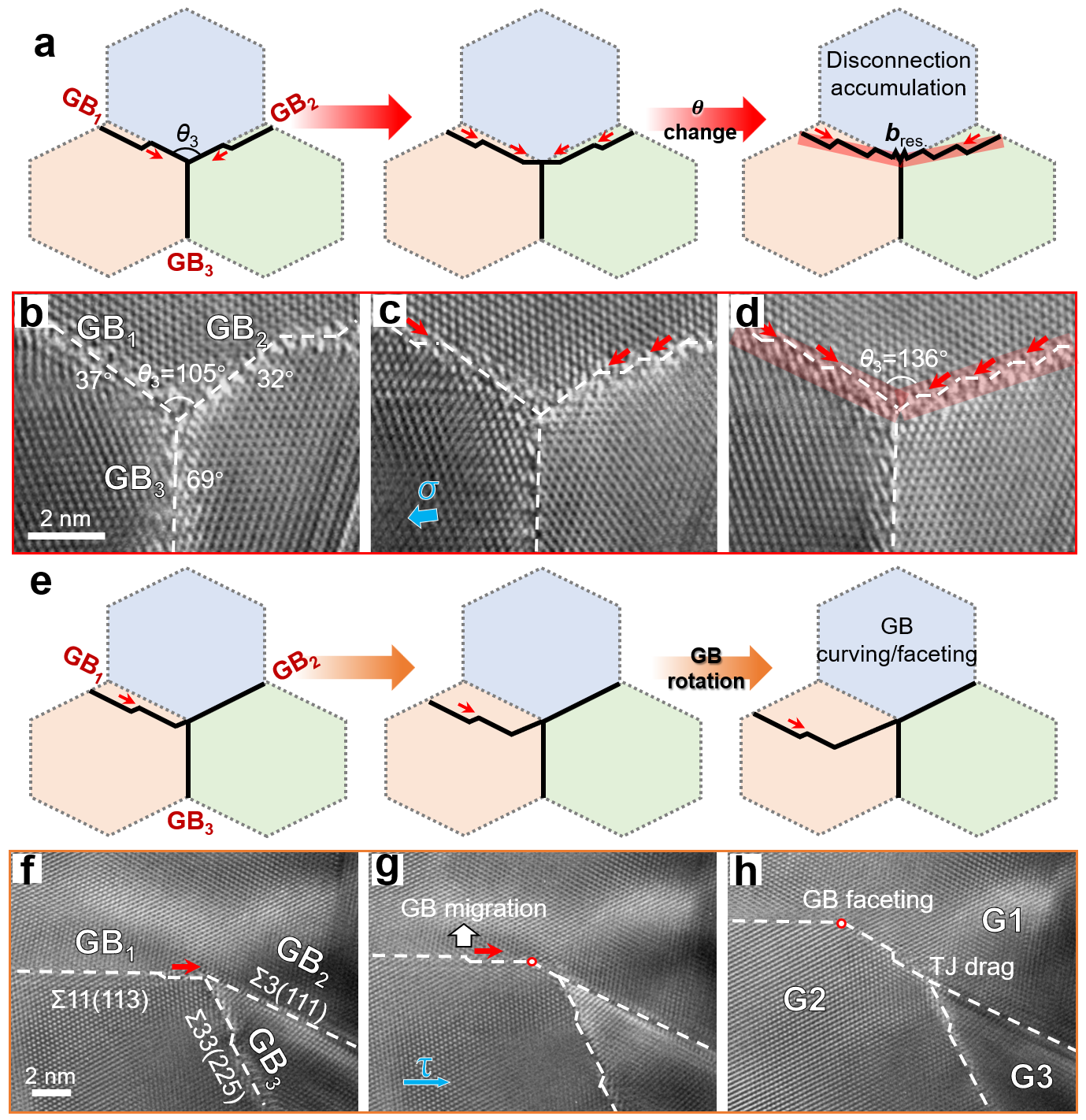 失配位錯介導的TJ形貌轉變