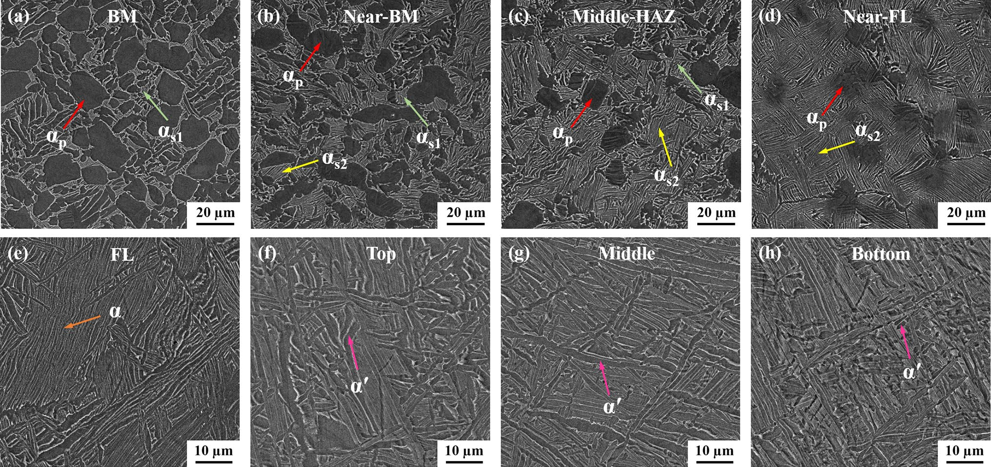 BM及EBW接頭不同區域的掃描電鏡圖