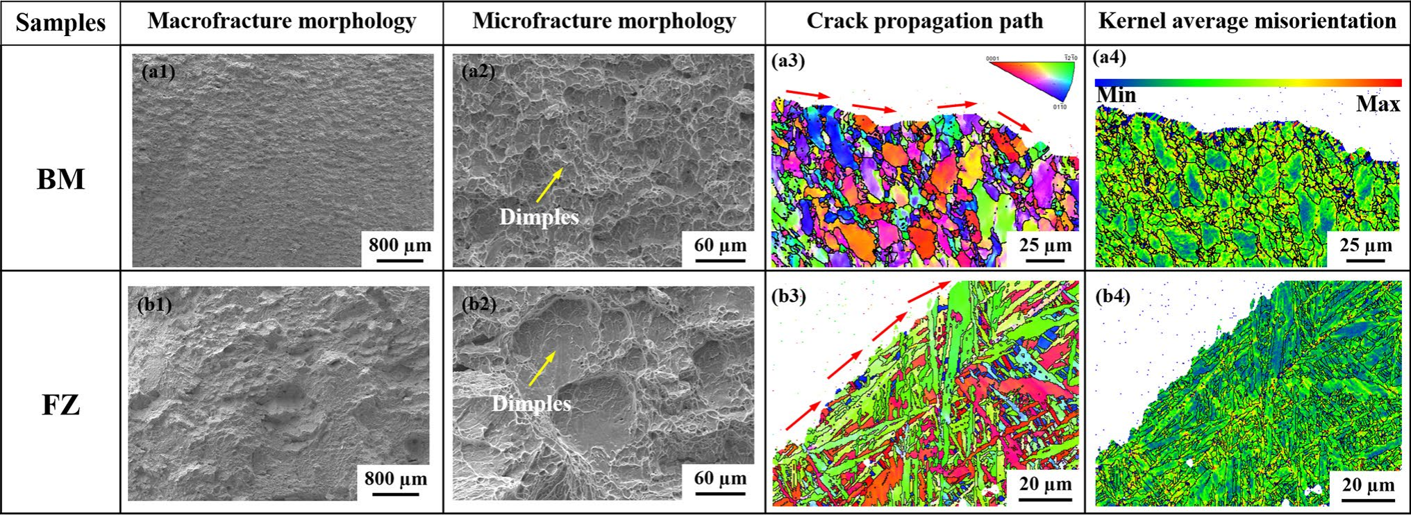 BM與FZ的斷口形貌及裂紋擴展路徑分析