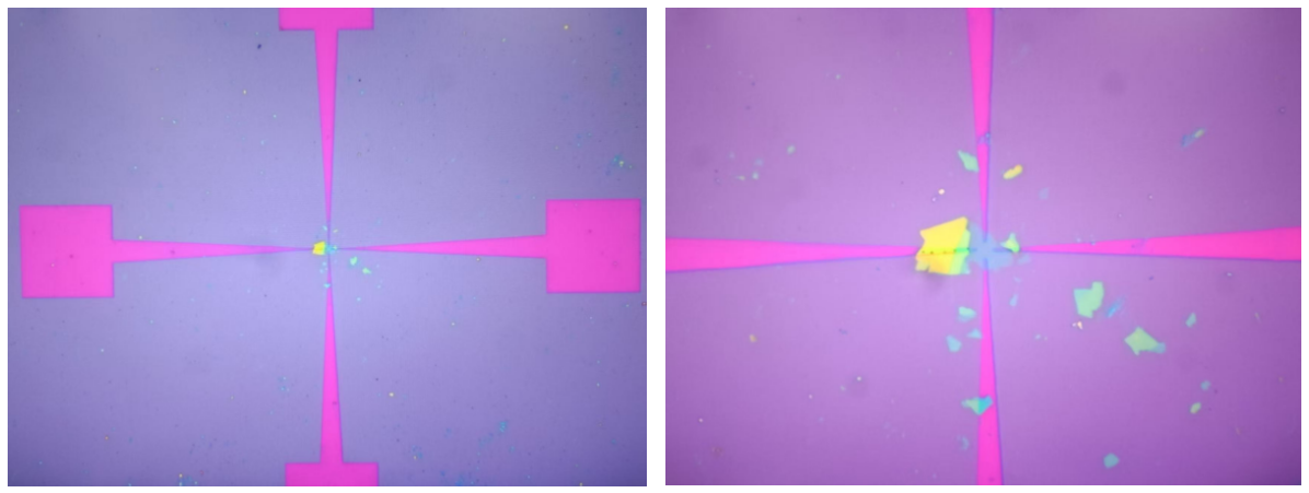 機(jī)械剝離的二維材料樣品利用無掩模光刻機(jī)光刻電極并鍍膜剝離的結(jié)果