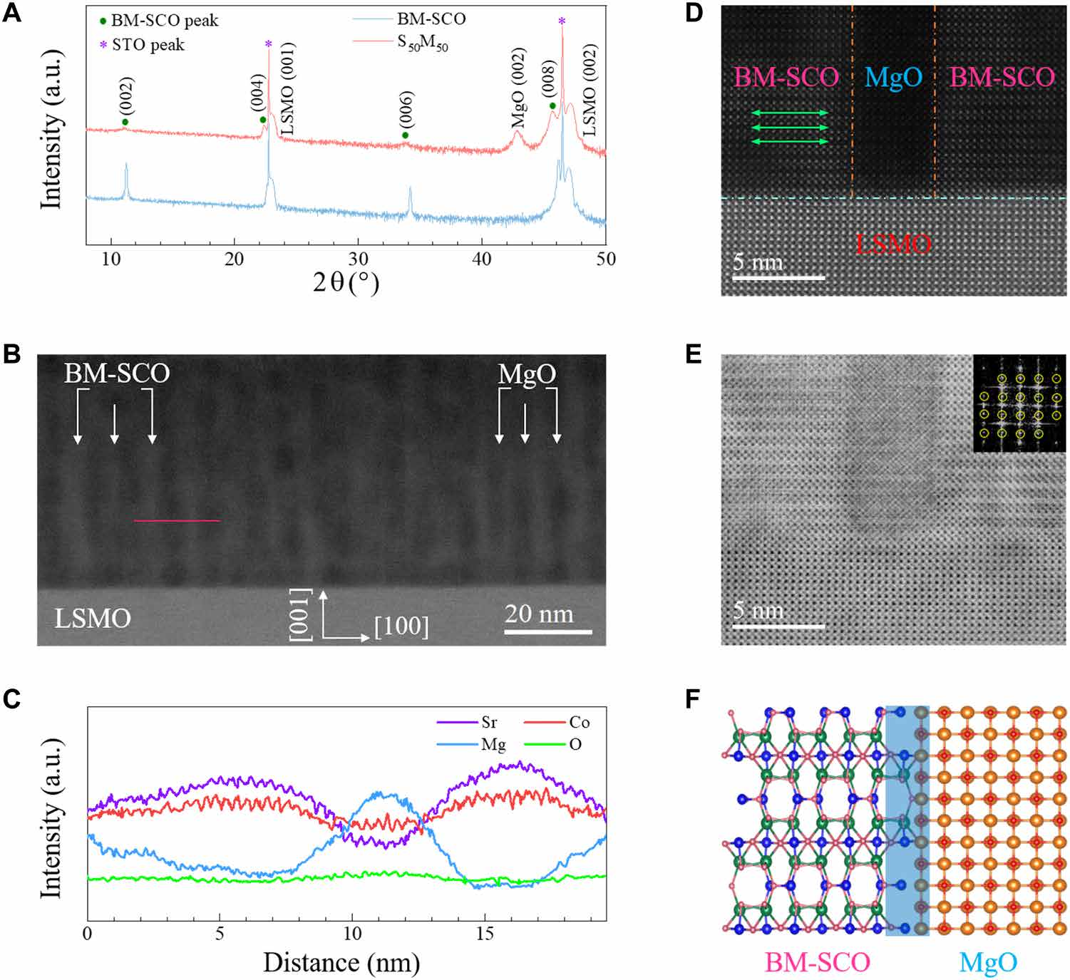 澤攸科技原位TEM