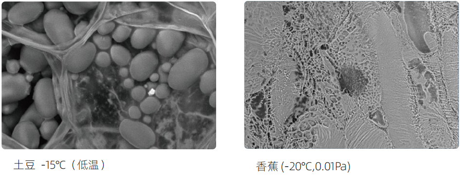 電子顯微鏡技術