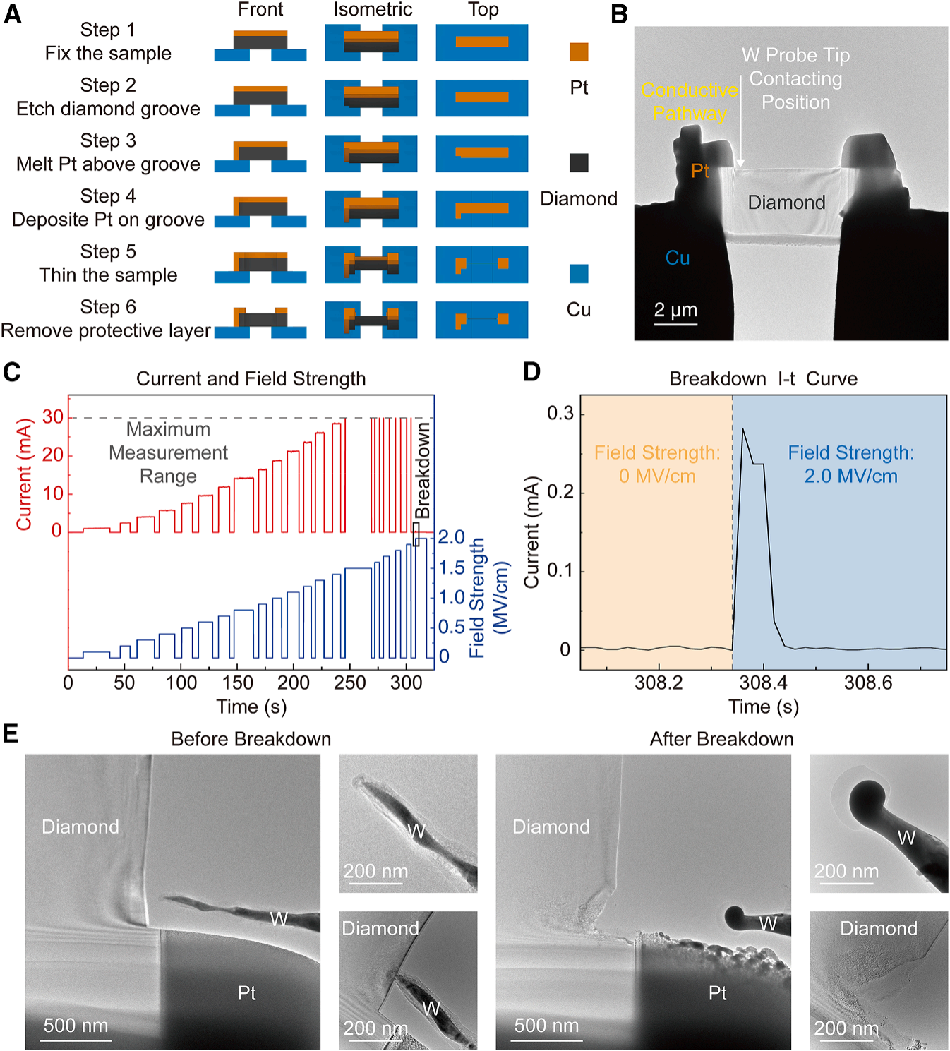 澤攸科技原位TEM 