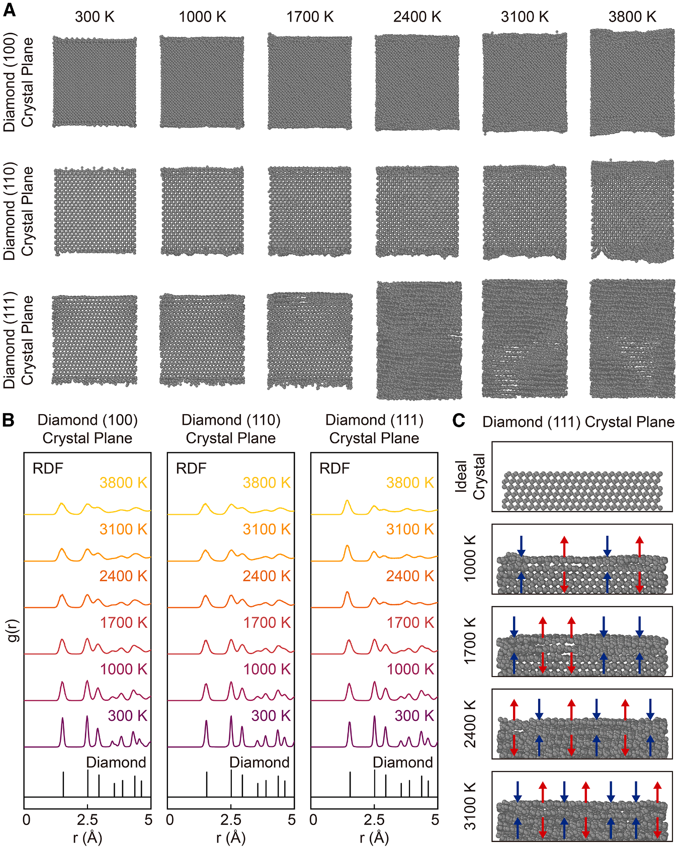 澤攸科技原位TEM 