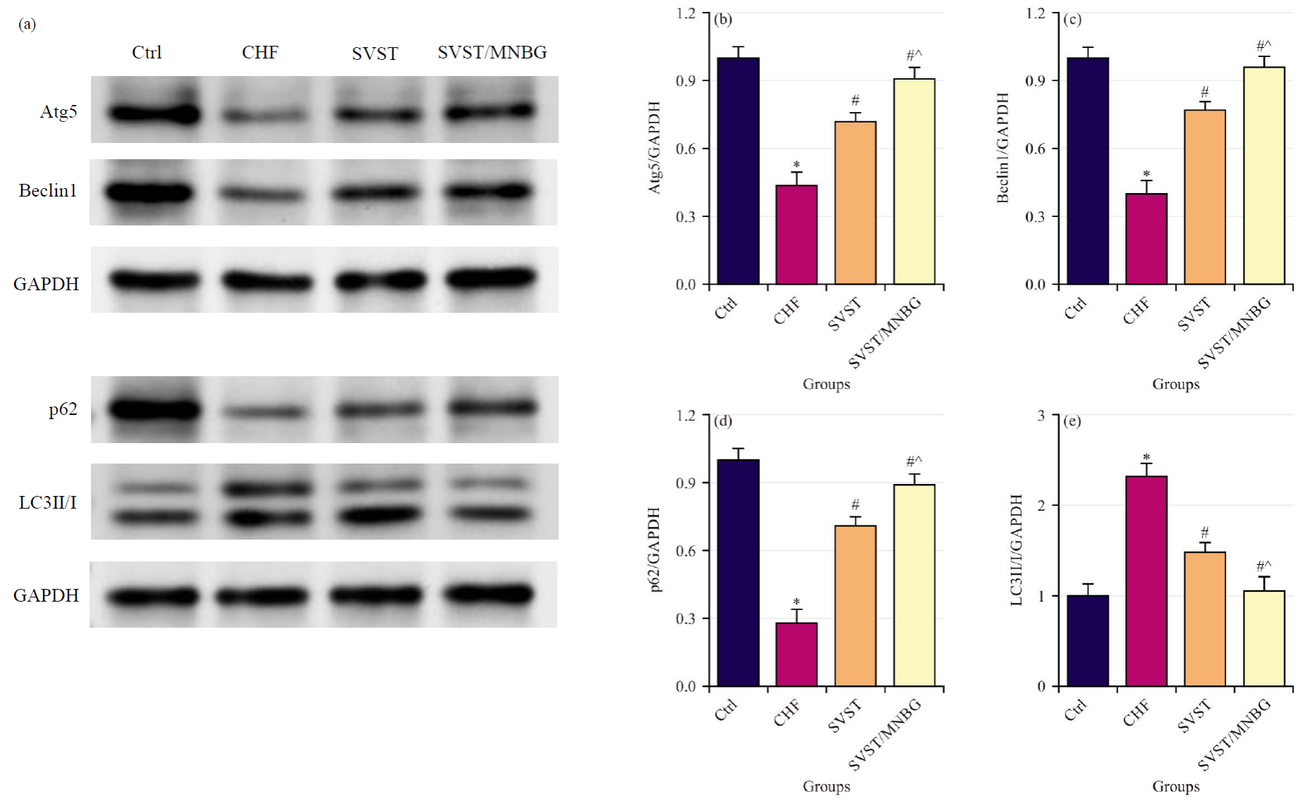 澤攸科技ZEM系列掃描電鏡