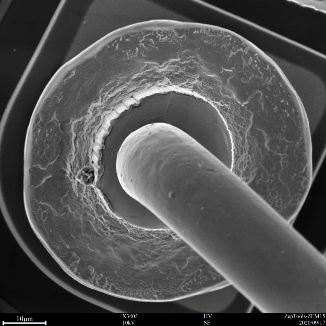 臺式掃描電鏡 臺式掃描電鏡