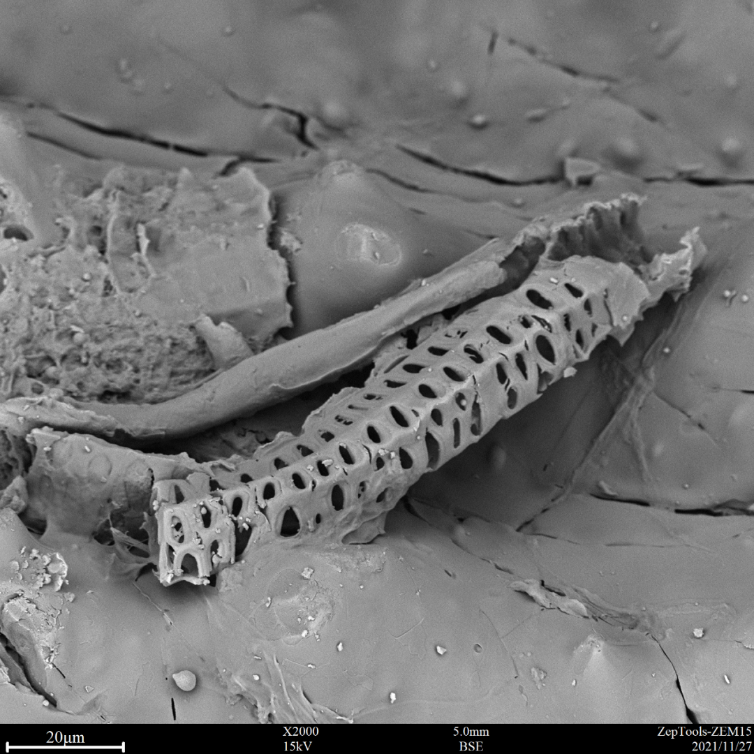 ZEM15臺式掃描電鏡在司法鑒定行業發揮著不可忽略的作用(圖1) ZEM15臺式掃描電鏡在司法鑒定行業發揮著不可忽略的作用(圖1)